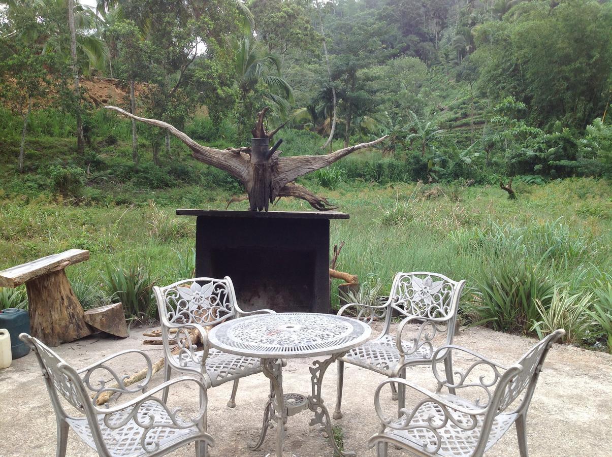 Explore Sinharaja Rain Forest Tour Camp Dombagoda Exterior photo