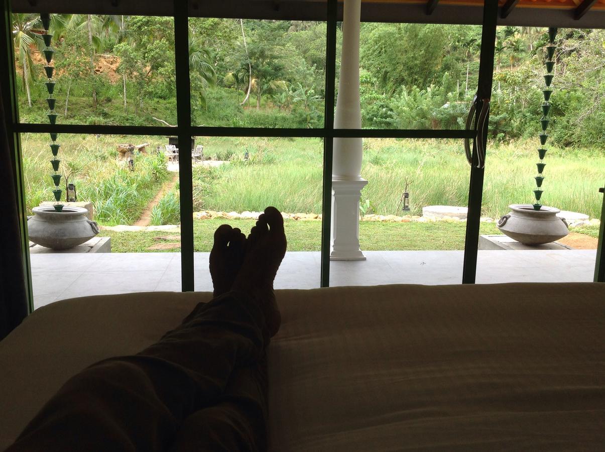 Explore Sinharaja Rain Forest Tour Camp Dombagoda Exterior photo