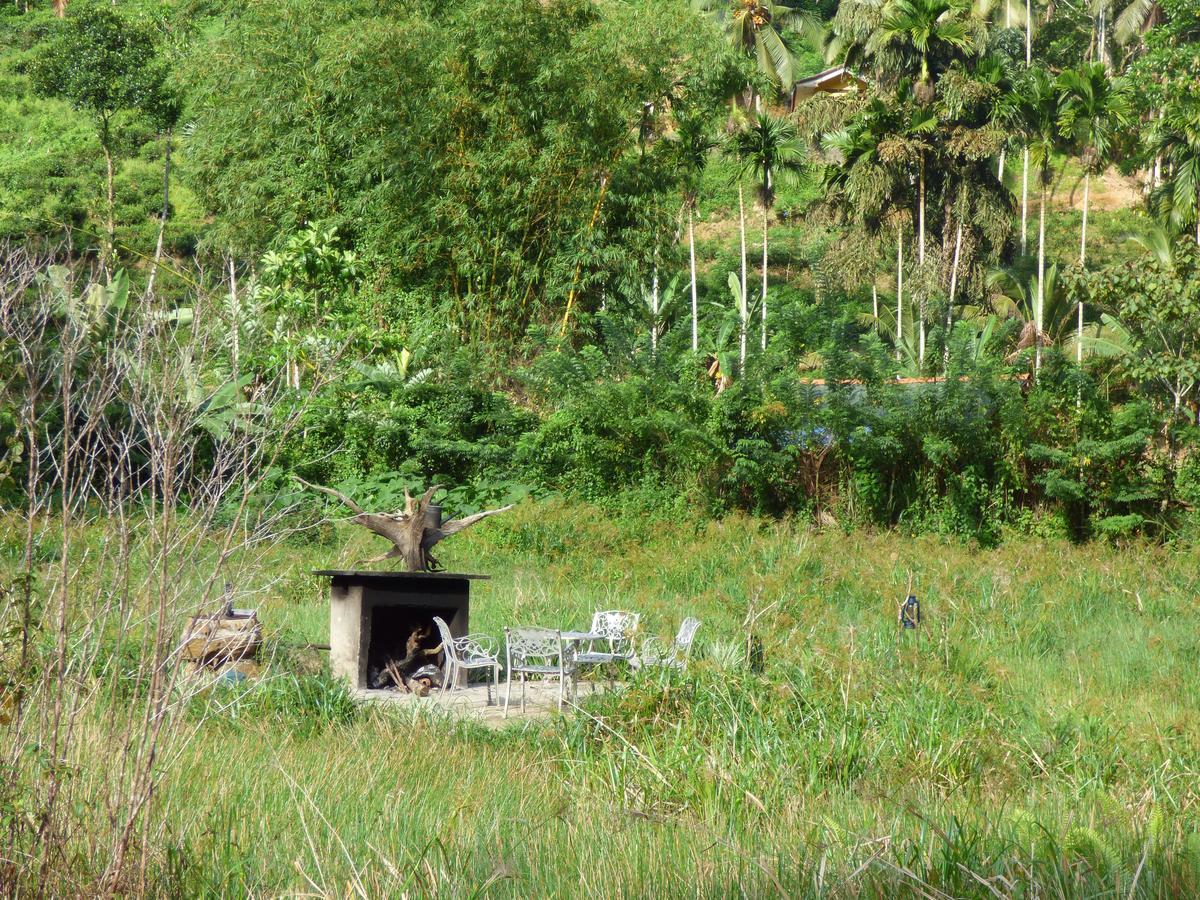 Explore Sinharaja Rain Forest Tour Camp Dombagoda Exterior photo