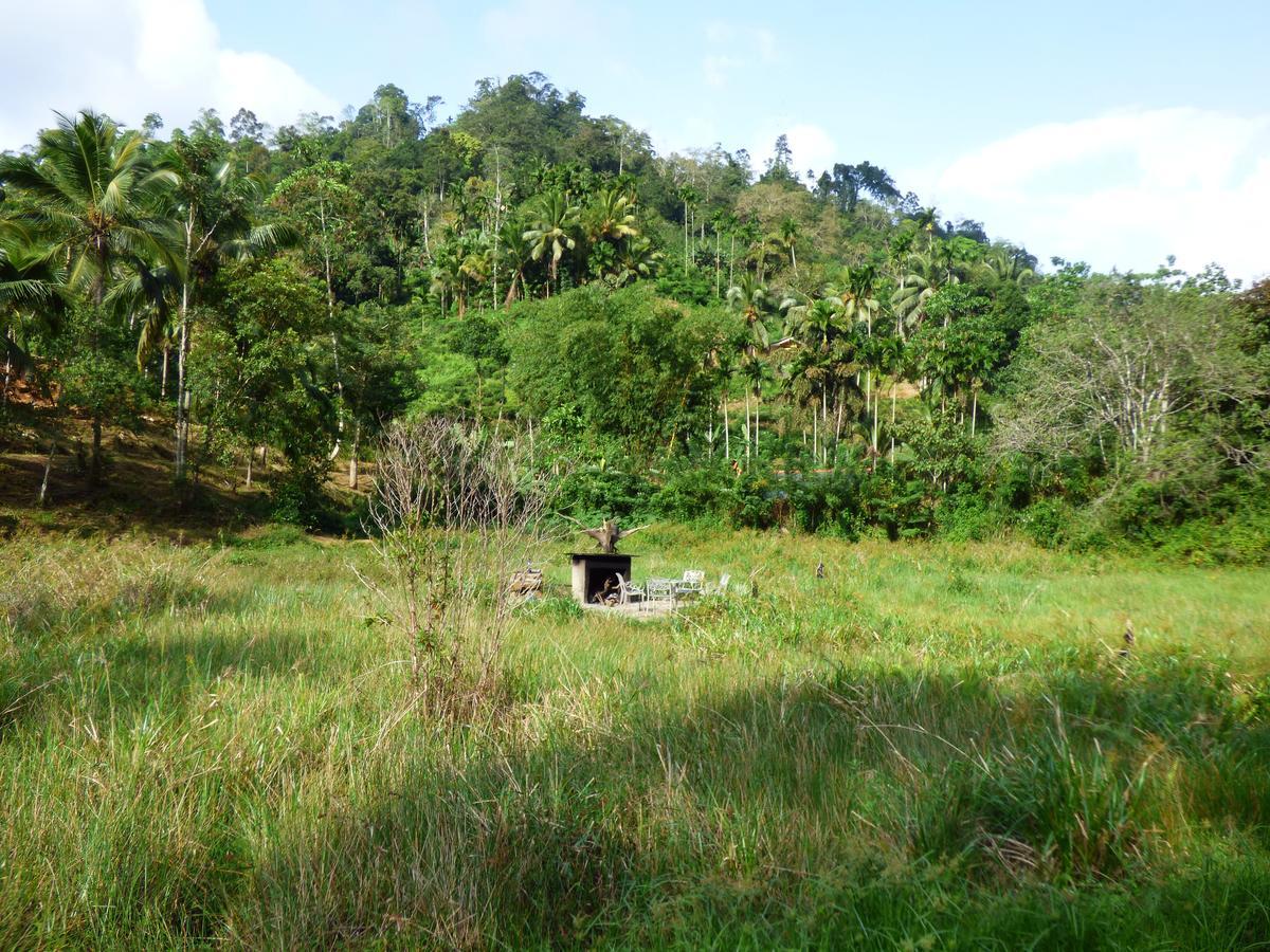 Explore Sinharaja Rain Forest Tour Camp Dombagoda Exterior photo
