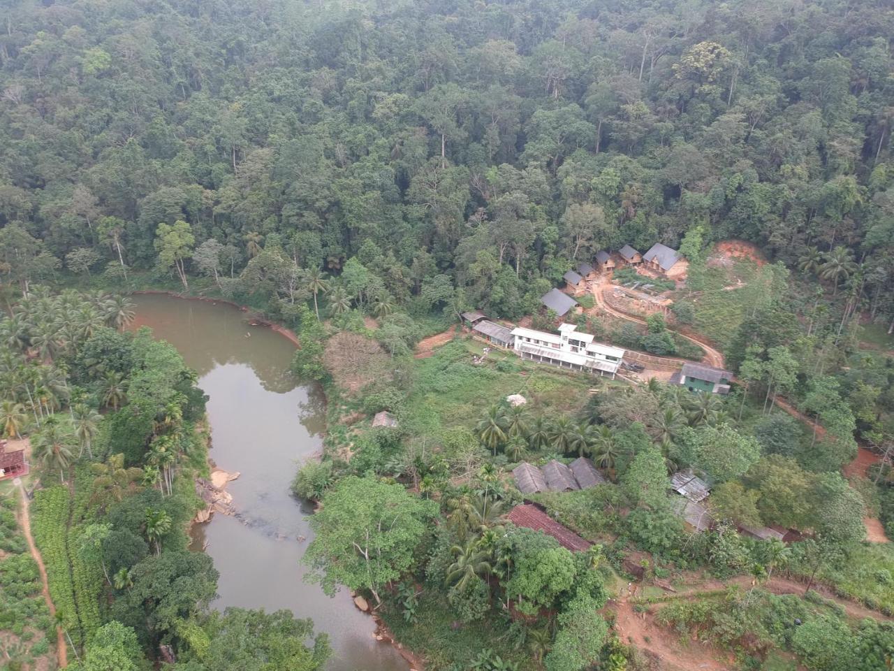 Explore Sinharaja Rain Forest Tour Camp Dombagoda Exterior photo