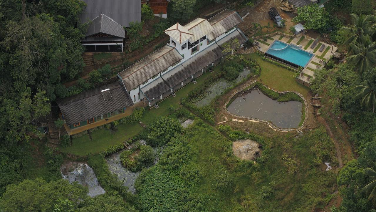 Explore Sinharaja Rain Forest Tour Camp Dombagoda Exterior photo