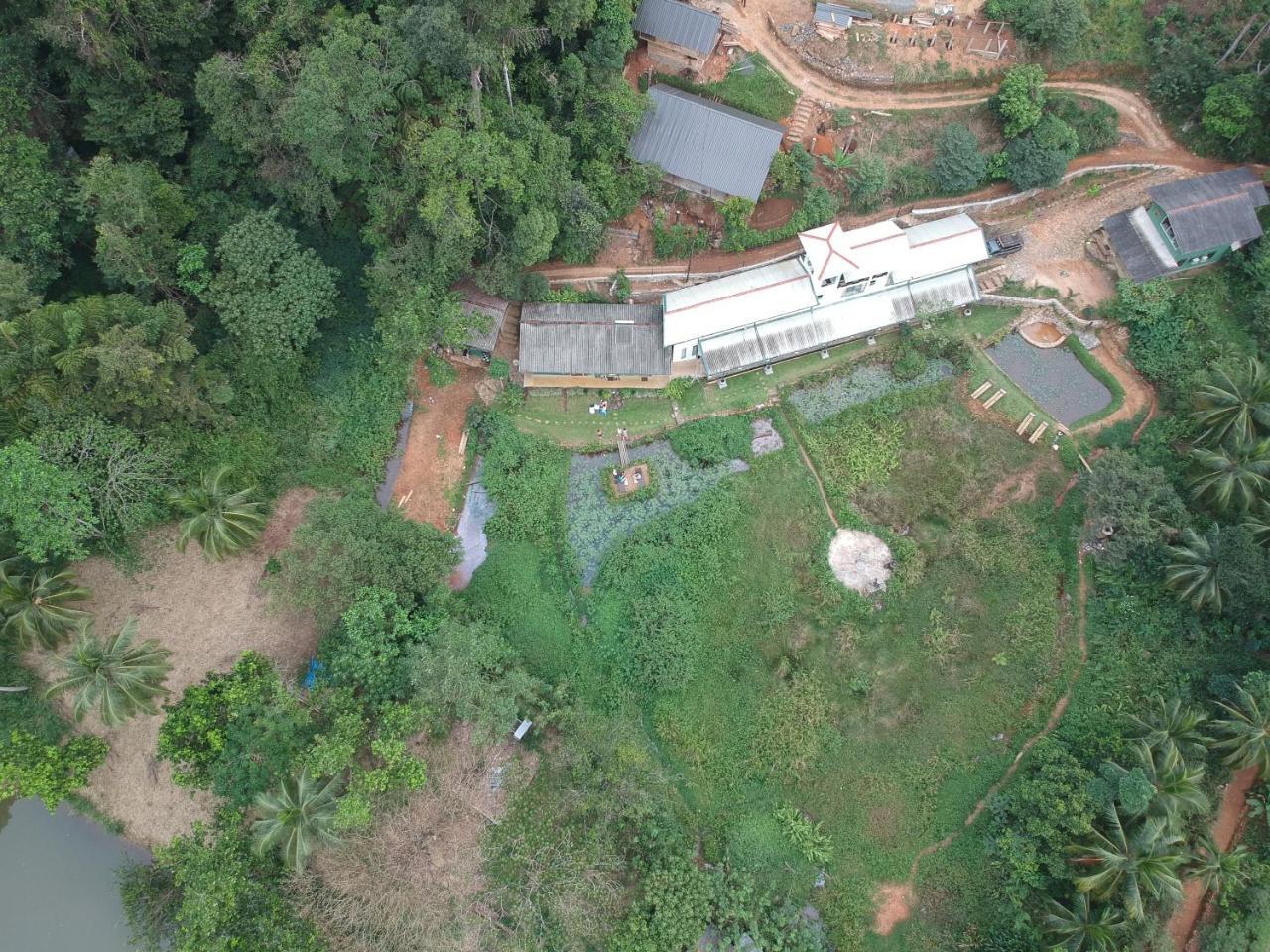 Explore Sinharaja Rain Forest Tour Camp Dombagoda Exterior photo